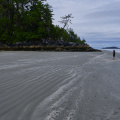 Beach, Tofino, Vancouver Island